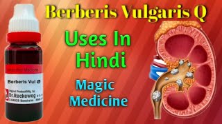 BERBERIS VULGARIS Q  Berberis Vulgaris Q homeopathy medicine benefit of berberis vulgarisQ hindi [upl. by Tivad]