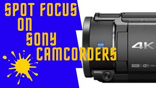 How to Use Spot Meters on Sony Camcorders [upl. by Karoline]