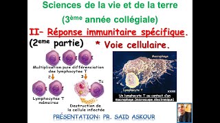 Réponse immunitaire Cellulaire  3eme collège SVT [upl. by Godliman]