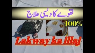 Lakwe Ka Illaj 100 By Hashim Mahmood [upl. by Eniamrehc]