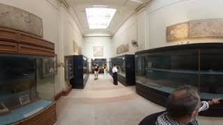 Cairo museum of Antiquities [upl. by Aerdnaek203]