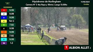 Hurlingham 11082024 [upl. by Dotty]