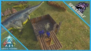 Ankylosaurus Acquisition E53  Ark Survival Ascended [upl. by Nahgeem]