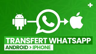 Comment transférer WhatsApp d’un Android vers un iPhone en 2022 Tuto [upl. by Gilemette]