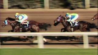 1987 Breeders Cup Classic [upl. by Ermentrude761]