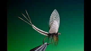 Fly Tying extended mayfly dry fly body tutorial with Barry Ord Clarke [upl. by Rivers]