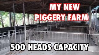 PIGGERY FARM  PIG FARMING IN THE PHILIPPINESNEGOSYOPHILIPPINES [upl. by Yllitnahc]