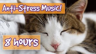 Songs for Nervous Cats Soothing Music to Calm Your Hyperactive Anxious Cat and Help with Sleep 🐈 [upl. by Sikes826]