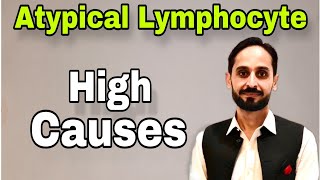 Atypical Lymphocytes  What is Atypical Lymphocyte  High Atypical Lymphocytes Causes [upl. by Ynnavoj]