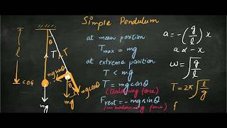 Simple Pendulum [upl. by Womack]