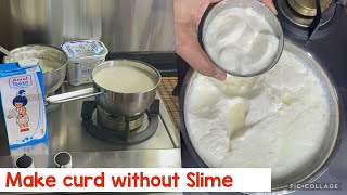 How to make yogurt without Slime  Beginners guide  How to make curd in Singapore [upl. by Adnohryt]