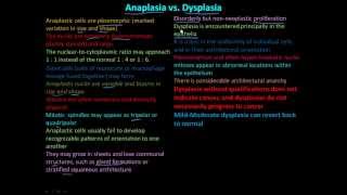 114P Anaplasia vs Dysplasia [upl. by Aikehs719]