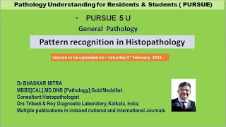 Pursue 5 U  Pattern recognition in Histopathology [upl. by Helmut530]