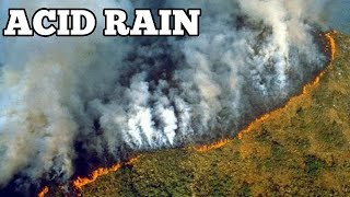 ACID RAIN क्या होती है  ACID RAIN amp its Effects Explained in HINDI [upl. by Fulcher]