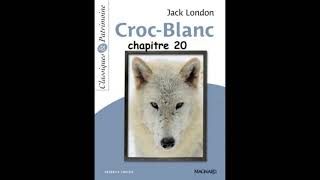 Chapitre 4 résumé  La bataille des crocs  Croc Blanc de Jack London [upl. by Giza]