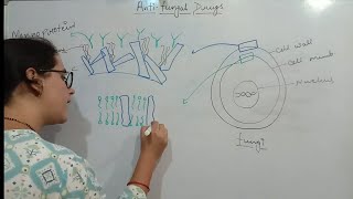 Antifungal drugs Part1  Anatomy of fungi  Types of fungal infection  Targets of antifungal drugs [upl. by Reiner367]