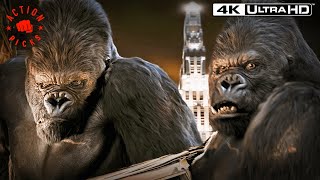 Kongs New York Rampage  King Kong 4k HDR [upl. by Nhguahs]