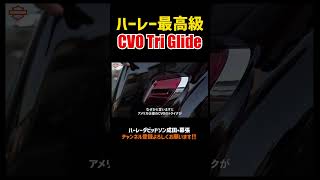 ハーレー最高級‼️CVOトライク米国仕様フルカスタム‼️cvoFLHTCUTGSETRIGLIDECVO harleydavidson4Kトライク [upl. by Keligot]