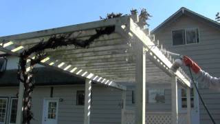 Algae amp mildew removal from wooden trellis [upl. by Osnofedli]