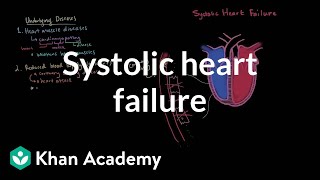 Systolic heart failure pathophysiology  Circulatory System and Disease  NCLEXRN  Khan Academy [upl. by Leon800]