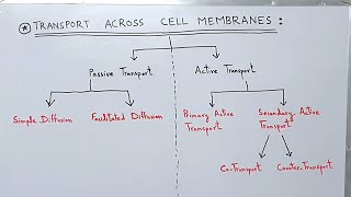 Transport across the Cell Membrane  Plasma Membrane  Active and Passive Transport [upl. by Eenahpets]