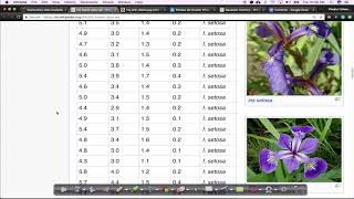 Iris Dataset EDA Lecture1 Applied AI Course [upl. by Dnaltiac]