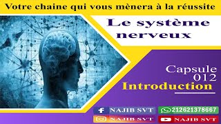 Le système nerveux  Introduction [upl. by Suivatco]