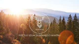 Poczuj Bieszczady jesienią w Villa Collis [upl. by Adrian]