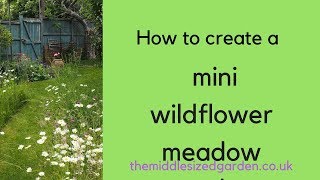 How to create a mini meadow in your garden [upl. by Zulaledairam]