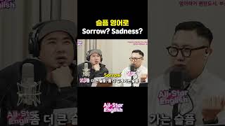 슬픔은 영어로 Sorrow Sadness [upl. by Atsed]