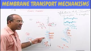 Cell Membrane Transport  Plasma Membrane Transport  Cell Biology🩸 [upl. by Banna728]