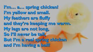 Spring Chicken Song One Mother Hen with lyrics for congregations [upl. by Esenwahs]