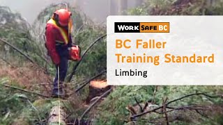 BC Faller Training Standard  Limbing 15 of 17 [upl. by Moulden325]