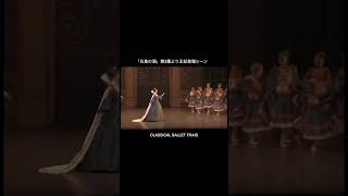 【王妃登場シーン／白鳥の湖第3幕より】 鹿児島のバレエ教室 dance バレエダンサー＃short [upl. by Ras726]