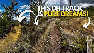 Does This Qualify As a Bike Park Trail Fini DH Track Rebuild pt1 [upl. by Capps]