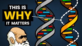 DNA vs RNA  Differences in Form and Function  Stated Clearly [upl. by Jaquith]