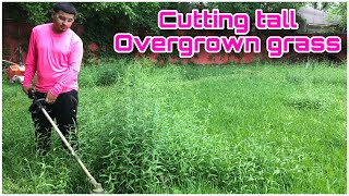 OVERGROWN PROPERTY GETS TRANSFORMED Satisfying tallgrass mowing oddly [upl. by Haym955]