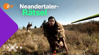 So starben die Neandertaler aus  Terra X plus [upl. by Filip]