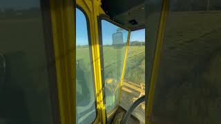 I got to cut some hay with our 1495 diesel New Holland haybine hay newholland oregon [upl. by Virgel]