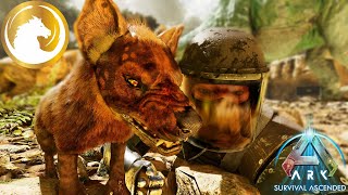 Ark Survival Ascended Hyaenodon Takımı I S1B15 [upl. by Akcirederf]