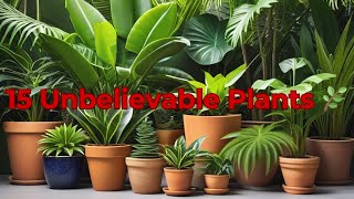 Top 15 Rare Houseplants You Wont Believe Exist 🌱 [upl. by Kabab]