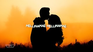 Melliname Melliname Song Lyrics video in Shahjahan [upl. by Meehyr]