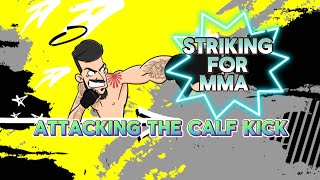 STRIKING FOR MMA ATTACKING THE CALF [upl. by May456]