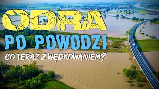 173 Gdzie teraz łowić 🎣🤔Kiedy znów nad Odrę🕰️🌊 [upl. by Noedig]