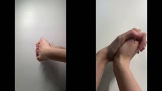 Wrist Flexion  Extension AAROM Clasped Hand [upl. by Esilahs]