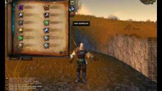 WoW cataclysm Private server 400 Guide how to install and play [upl. by Shornick685]