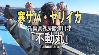 不動丸・千葉県勝浦川津港「極旨の共演！寒サバ・ヤリイカリレー釣り」 [upl. by Naej431]