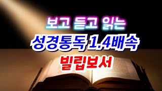 빌립보서 가장 듣기 좋은 성경통독 성경듣기 성경낭독 💕 구독✔️👍 [upl. by Arihday]