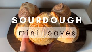 Sourdough Mini Loaves  Bread Bowls  Minis Version 1 [upl. by Affer]