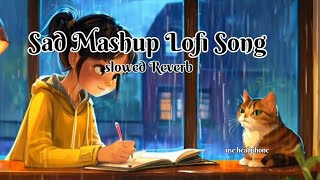 Sad Relaxing Lofi Songs 🎵  Night Sleeping Lofi Song  Night Mood FreshSong  LMS [upl. by Entroc]